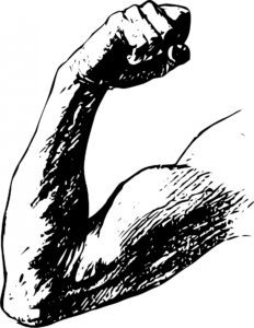 black and white drawing of a muscular arm flexing protein nutrients from plants
