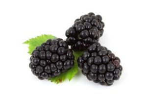 three black berries on white background green leaves nutrients from plants fiber