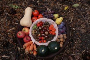 platter of autumn fall vegetables and fruits